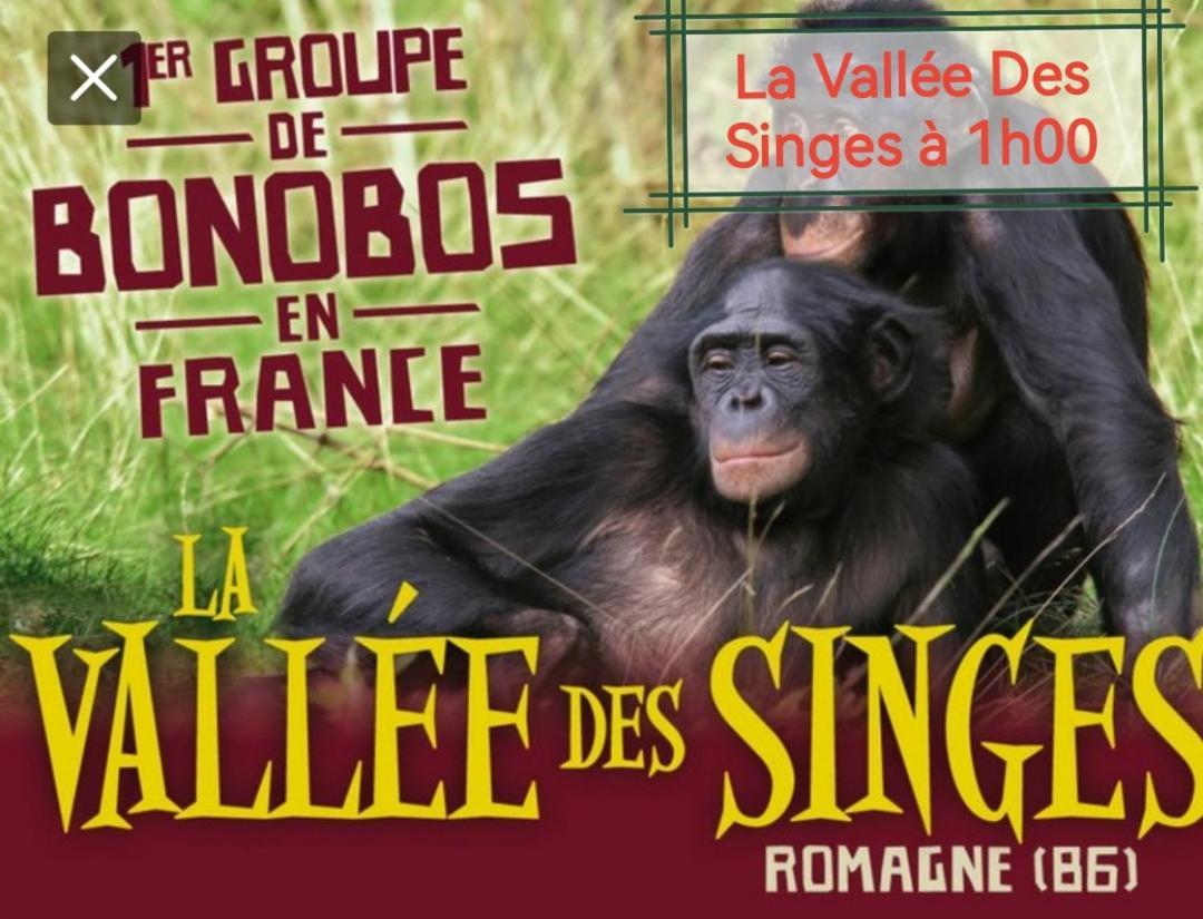 Gite De Charme Dans Un Cadre Calme Et Reposant Chatellerault Bagian luar foto